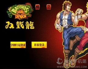 格斗双截龙 (图1)