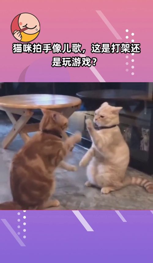 拍手打游戏,指尖上的欢乐盛宴(图1) 拍手打游戏,指尖上的欢乐盛宴(图1)