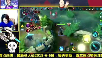 皮皮薇游戏,畅游奇幻世界(图2) 皮皮薇游戏,畅游奇幻世界(图2)