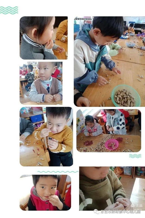 剥花生游戏,锻炼手眼协调的益智挑战(图2) 剥花生游戏,锻炼手眼协调的益智挑战(图2)
