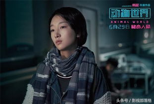 冬雨小游戏,解锁冰雪世界的神秘之旅(图3) 冬雨小游戏,解锁冰雪世界的神秘之旅(图3)