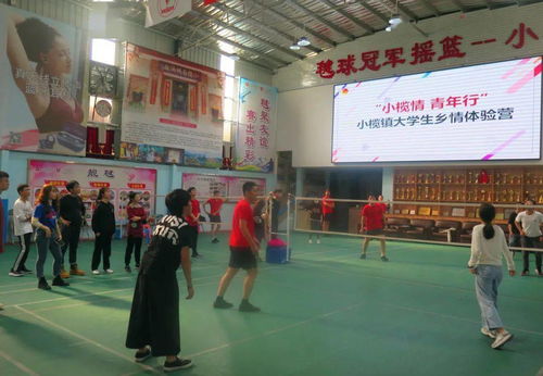小榄游戏,探寻民间智慧与欢乐的传承之旅(图1) 小榄游戏,探寻民间智慧与欢乐的传承之旅(图1)