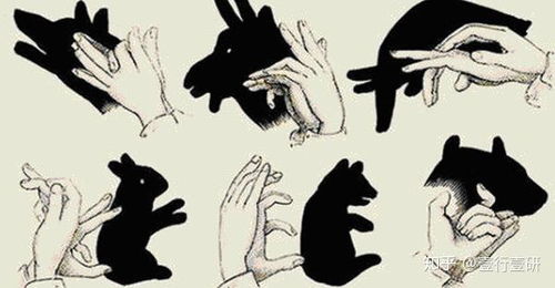 影子科学游戏,影子科学游戏中的神秘世界揭秘(图3) 影子科学游戏,影子科学游戏中的神秘世界揭秘(图3)