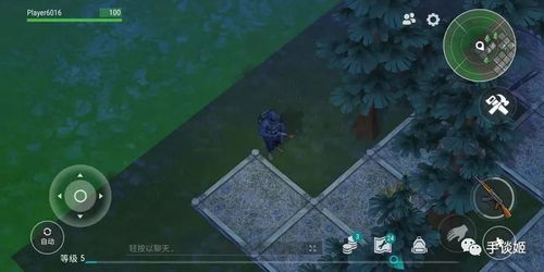 进化游戏手谈,手谈间的智慧与策略对决(图2)