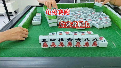 麻将乌龟游戏,策略与智慧的博弈之旅(图2) 麻将乌龟游戏,策略与智慧的博弈之旅(图2)