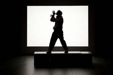 认影子游戏,揭秘心理阴影下的真实自我(图2) 认影子游戏,揭秘心理阴影下的真实自我(图2)