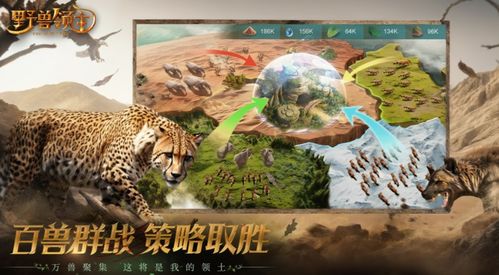 野兽新游戏,探索未知领域的冒险之旅(图3) 野兽新游戏,探索未知领域的冒险之旅(图3)