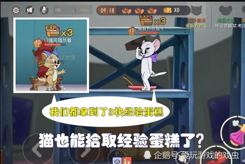 原鼠游戏,探寻神秘古墓的惊险冒险之旅(图1)