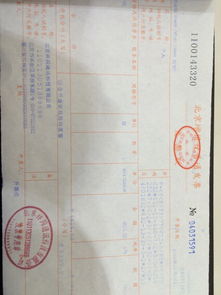游戏苹果发票,探寻虚拟世界与现实交易的奇妙交融(图2) 游戏苹果发票,探寻虚拟世界与现实交易的奇妙交融(图2)