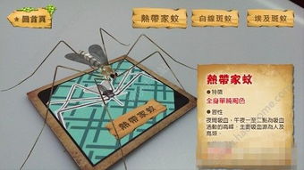 灭蚊游戏,一场寓教于乐的环保游戏体验(图2) 灭蚊游戏,一场寓教于乐的环保游戏体验(图2)