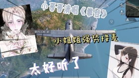 飞机游戏唱歌,飞机游戏中的音乐之旅(图3) 飞机游戏唱歌,飞机游戏中的音乐之旅(图3)