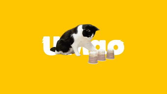 猜小猫游戏,解锁猫咪世界的奥秘(图2) 猜小猫游戏,解锁猫咪世界的奥秘(图2)