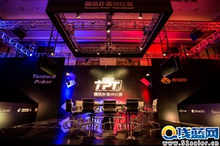 游戏tpt,TPT游戏深度解析(图3)