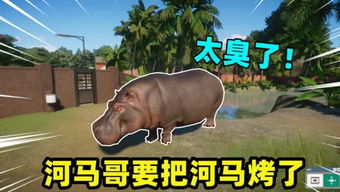 游戏喂河马,一场别开生面的游戏冒险之旅(图2)