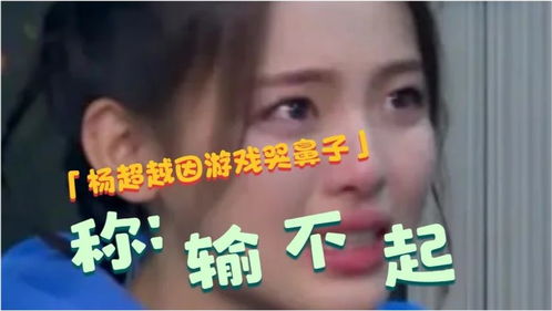矫情游戏名,探寻虚拟世界中的情感迷宫(图3)
