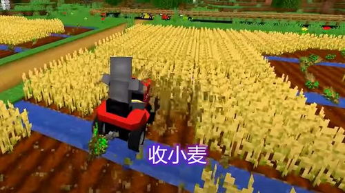种子生存游戏,生态平衡与进化法则的生存挑战(图3)