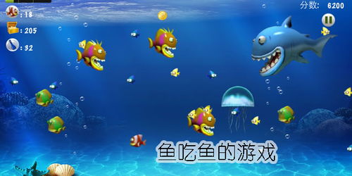 吃鱼泳游戏,畅游海洋的趣味冒险之旅(图3) 吃鱼泳游戏,畅游海洋的趣味冒险之旅(图3)