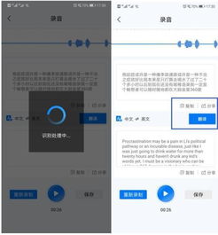 打游戏录音,录音中的电竞激情瞬间回顾(图3) 打游戏录音,录音中的电竞激情瞬间回顾(图3)