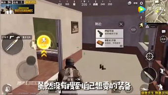 小龙爱游戏,揭秘他的游戏人生(图3) 小龙爱游戏,揭秘他的游戏人生(图3)