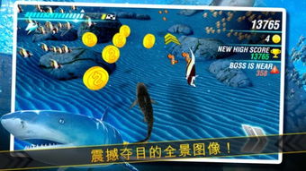 神鲨游戏,挑战极限的奇幻之旅(图3) 神鲨游戏,挑战极限的奇幻之旅(图3)