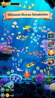 pc海洋游戏,PC海洋游戏魅力之旅(图2) pc海洋游戏,PC海洋游戏魅力之旅(图2)