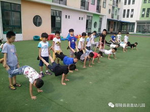老游戏大班,探寻童年记忆的奇幻冒险之旅(图3) 老游戏大班,探寻童年记忆的奇幻冒险之旅(图3)