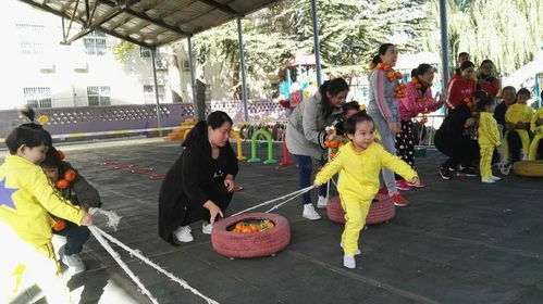 运白菜游戏,趣味与智慧并存的挑战之旅(图3)