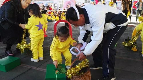 运白菜游戏,趣味与智慧并存的挑战之旅(图2)