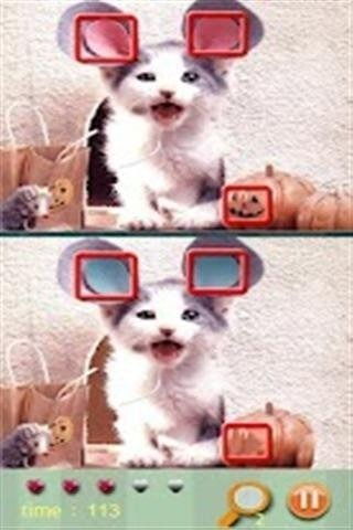 猫系游戏,探索虚拟猫界的奇幻冒险之旅(图2) 猫系游戏,探索虚拟猫界的奇幻冒险之旅(图2)