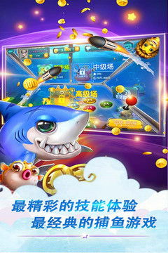 用鱼丸游戏,解锁无限乐趣(图2)