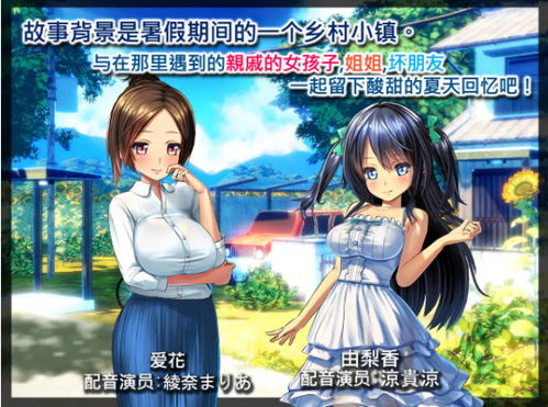 h游戏暑假,暑假里的H游戏冒险之旅(图2)