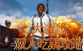 81难游戏,挑战极限的冒险之旅(图2) 81难游戏,挑战极限的冒险之旅(图2)
