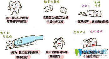 北京智齿游戏,创新力作引领行业新潮流(图3) 北京智齿游戏,创新力作引领行业新潮流(图3)
