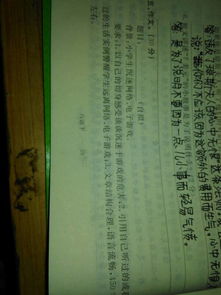游戏作文200,200字作文精选(图3)