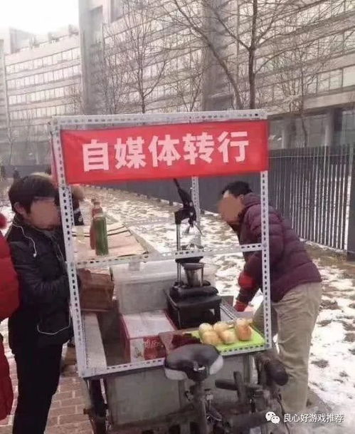 耍游戏摆摊,虚拟与现实交织的创业新天地(图3)