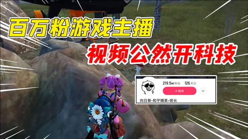 解密游戏粉色,解密游戏中的神秘世界(图2)