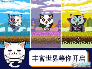 猫激光游戏,猫咪的智能娱乐新体验(图3)