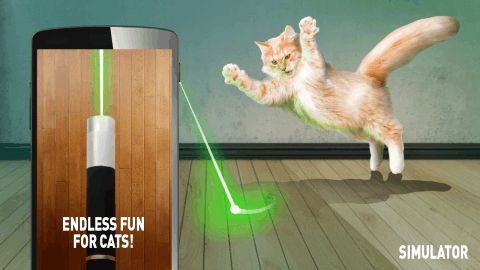 猫激光游戏,猫咪的智能娱乐新体验(图1)
