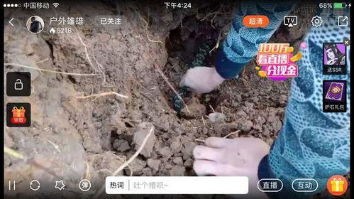 蛇出洞游戏,惊险刺激的迷宫探险之旅(图2) 蛇出洞游戏,惊险刺激的迷宫探险之旅(图2)