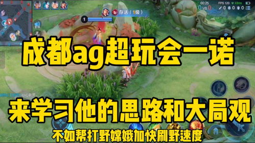 游戏大局,揭秘策略与战术的巅峰对决(图1)