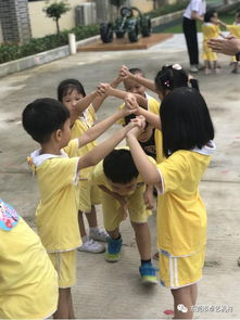 晨间老师游戏,智慧成长(图3)