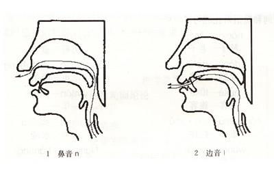鼻边音游戏,一场趣味盎然的语音探险之旅(图3) 鼻边音游戏,一场趣味盎然的语音探险之旅(图3)