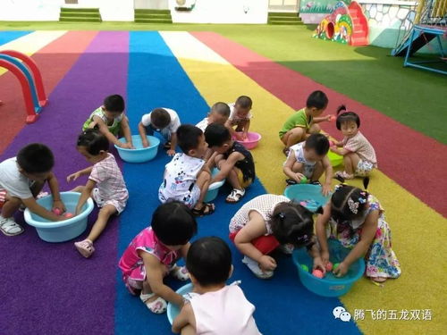球游戏创设,球游戏的无限魅力与挑战(图1)