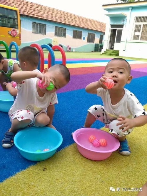 球游戏创设,球游戏的无限魅力与挑战(图2)
