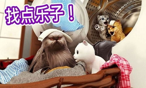 小猫泡澡游戏,小猫泡澡欢乐时光(图1)