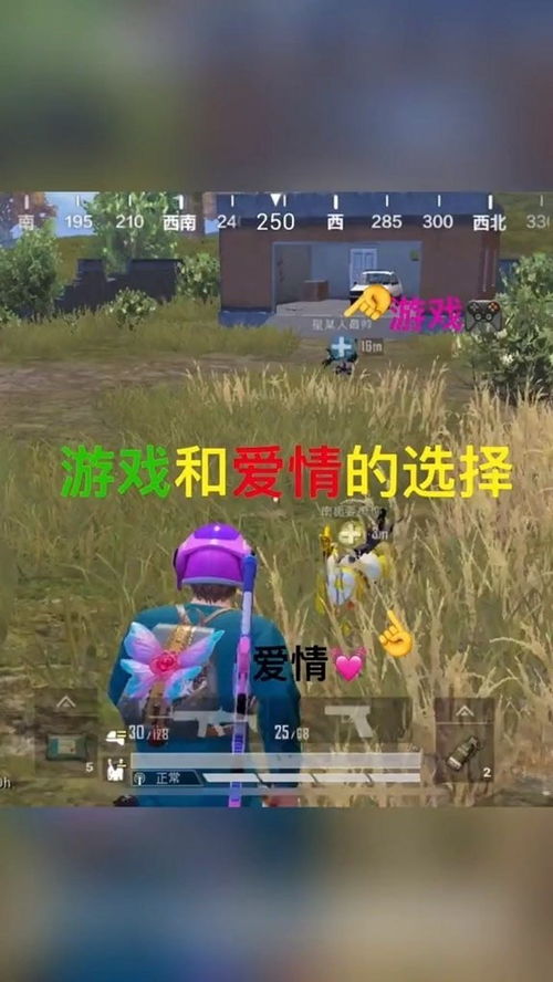 游戏与感情,虚拟世界中的情感交织(图1)