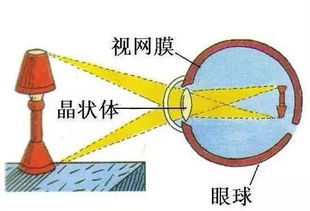 视觉游戏图,游戏图中的奇幻世界概述(图3)