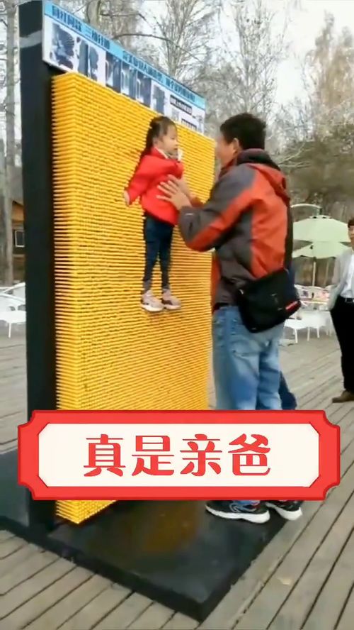接爸游戏,欢乐时光无限(图1)