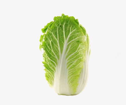 白菜爱游戏,激情无限(图1)