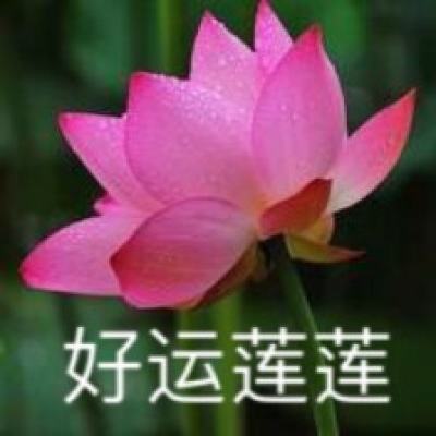莲花相连游戏,一场跨越时空的奇幻冒险之旅(图3) 莲花相连游戏,一场跨越时空的奇幻冒险之旅(图3)
